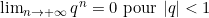 \lim_{n \to +\infty} q^n = 0 \text{ pour } |q| < 1